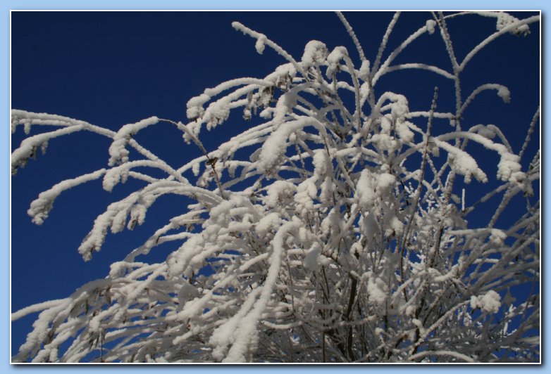 Arnhem Snow 143